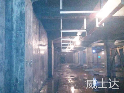 高鐵站7